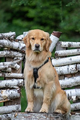 IMG_2992.jpg