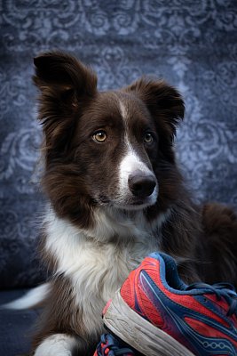 IMG_9383.jpg