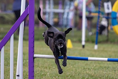 IMG_2629.jpg