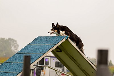 IMG_1082.jpg