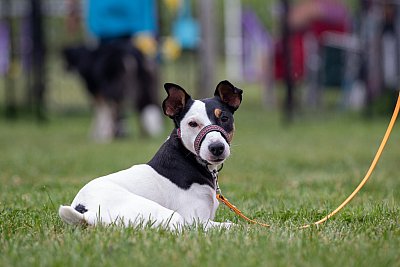 IMG_1995.jpg