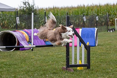 IMG_1544.jpg