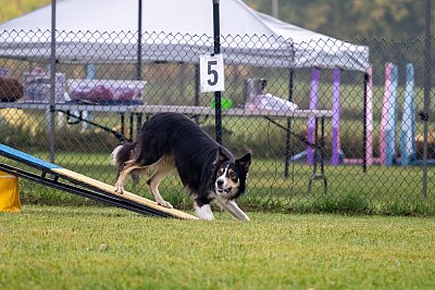 IMG_1099.jpg