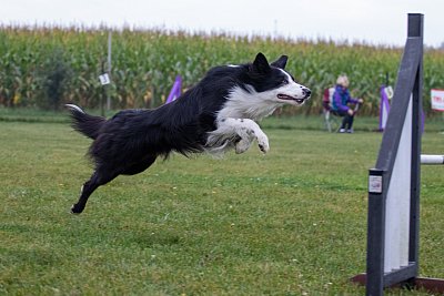 IMG_1249.jpg
