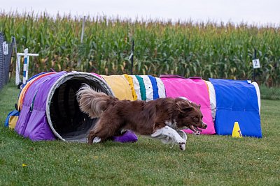 IMG_1199.jpg